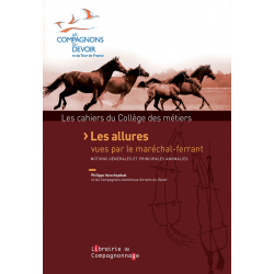 Les Allures Vues par le Maréchal