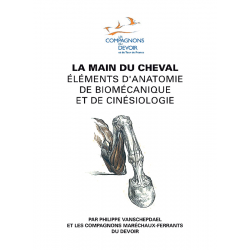 La Main du Cheval