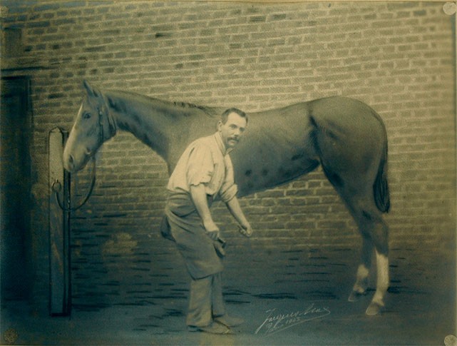 Matériel de maréchalerie  Achat fer à cheval - Faure